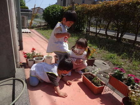 今日のちゅうりっぷ組＜２歳～３歳児＞