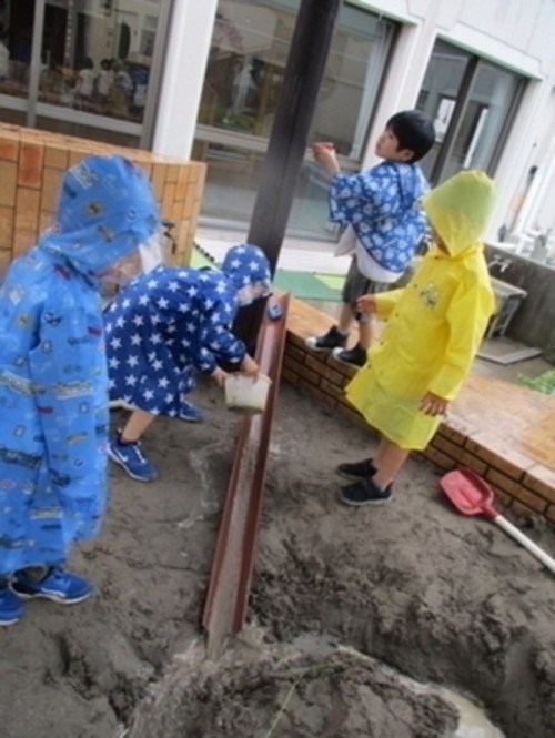 ◇梅雨に入りました。◇