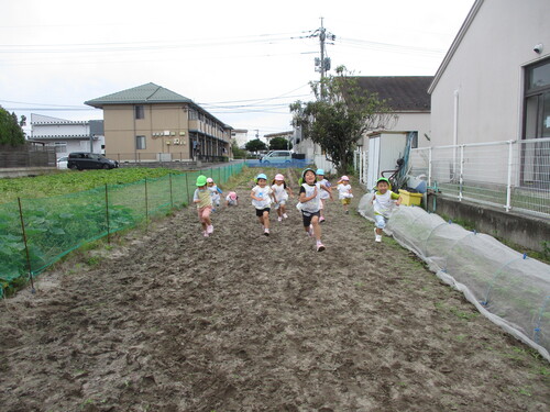 畑でかけっこ