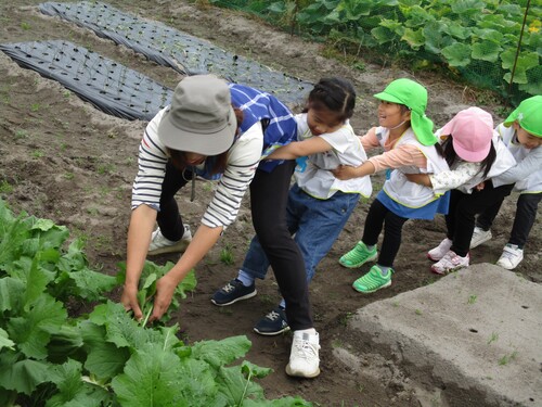 おおきなかぶ